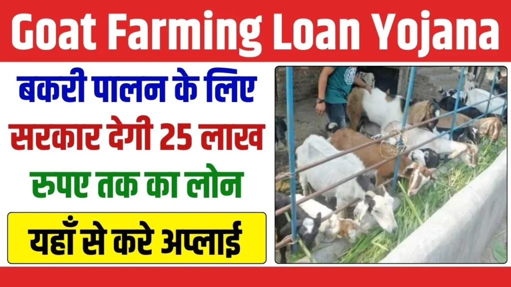 Goat Farming Loan