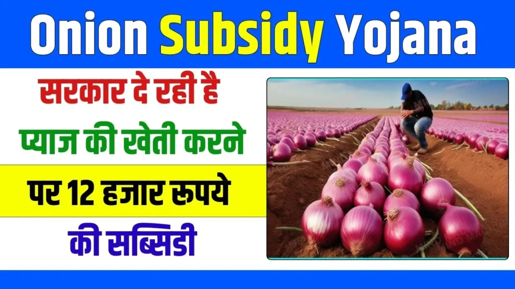 Onion Subsidy Yojana