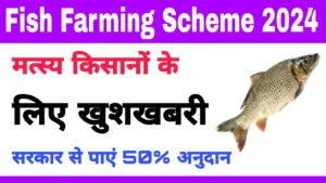 Fish Farming Scheme 2024